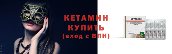 стаф Коряжма