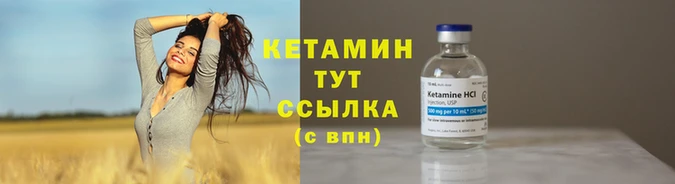стаф Коряжма