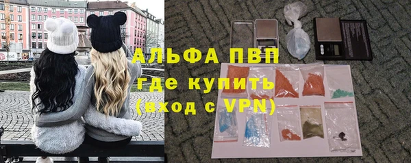 стаф Коряжма
