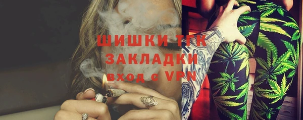 стаф Коряжма