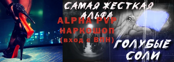стаф Коряжма